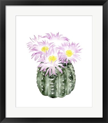 Framed Cactus Bloom I Print