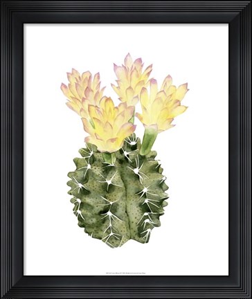 Framed Cactus Bloom II Print