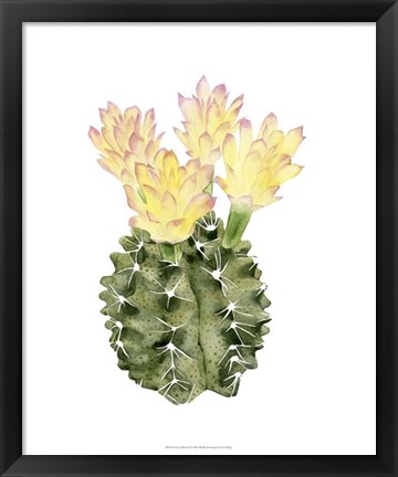 Framed Cactus Bloom II Print