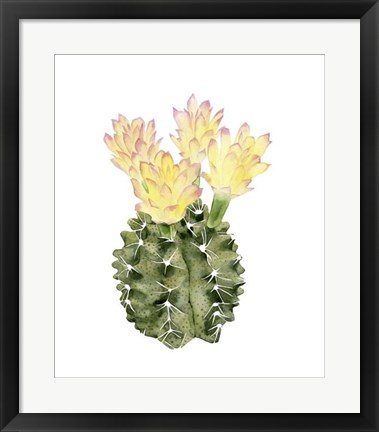 Framed Cactus Bloom II Print