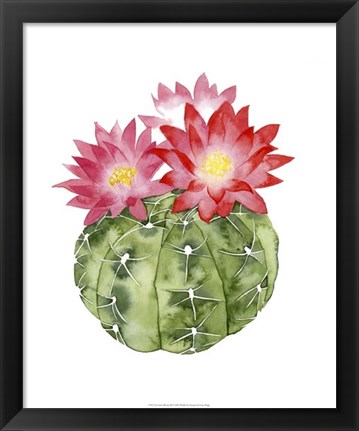 Framed Cactus Bloom III Print