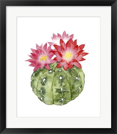 Framed Cactus Bloom III Print