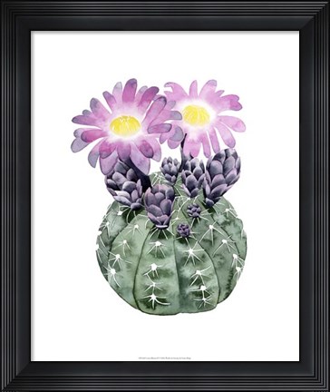 Framed Cactus Bloom IV Print