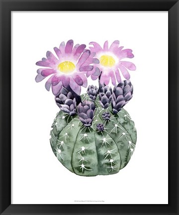 Framed Cactus Bloom IV Print