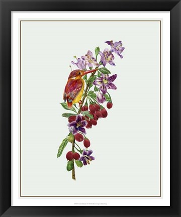 Framed Lycium Barbarum II Print