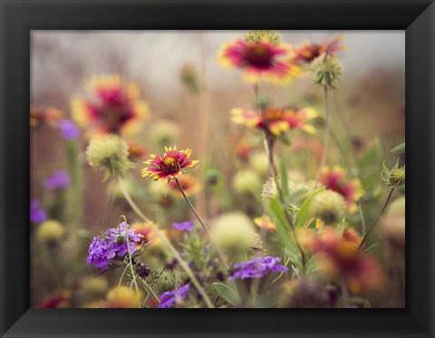 Framed Wild Blooms I Print