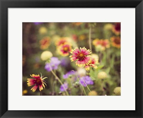 Framed Wild Blooms III Print