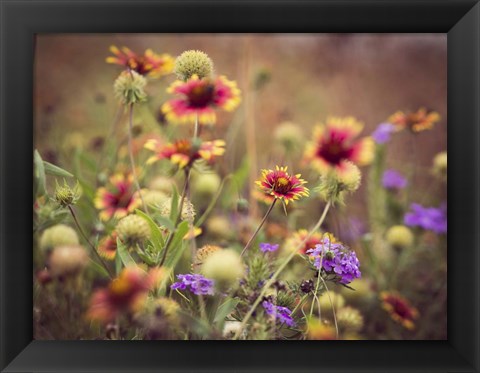 Framed Wild Blooms IV Print