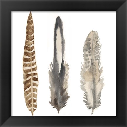 Framed Watercolor Plumes I Print