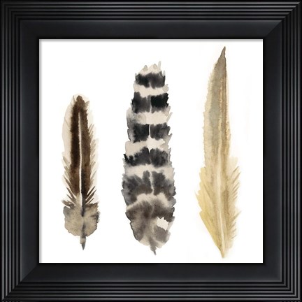 Framed Watercolor Plumes II Print