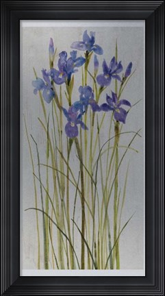 Framed Iris Patch I Print