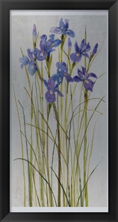 Framed Iris Patch I Print