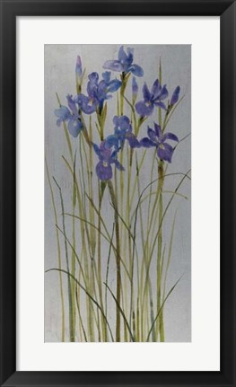 Framed Iris Patch I Print