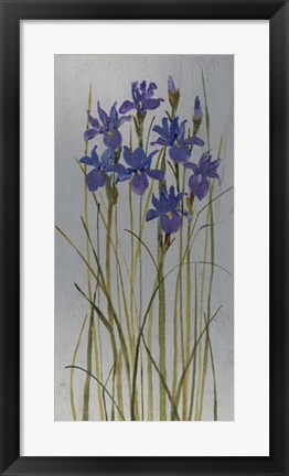 Framed Iris Patch II Print