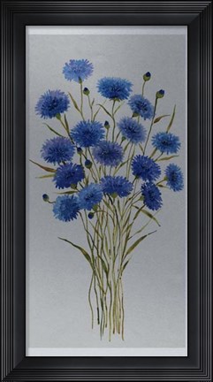Framed Cornflower Patch I Print