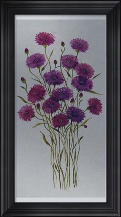 Framed Cornflower Patch II Print