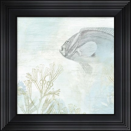 Framed Coastal Fresco II Print