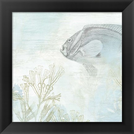 Framed Coastal Fresco II Print