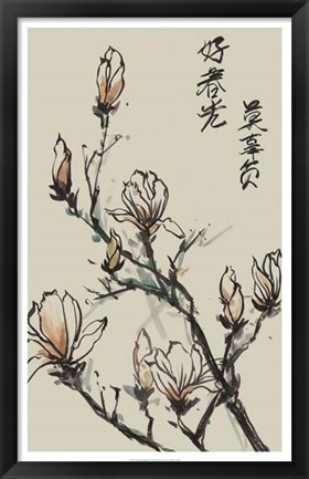 Framed Mandarin Magnolia I Print