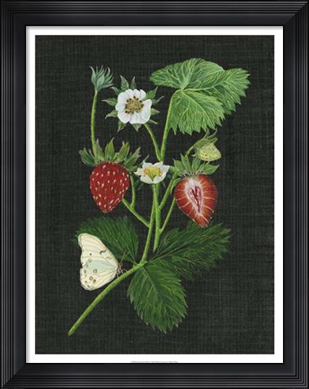 Framed Strawberry Fields I Print