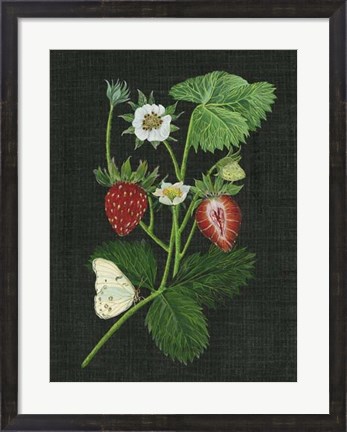 Framed Strawberry Fields I Print