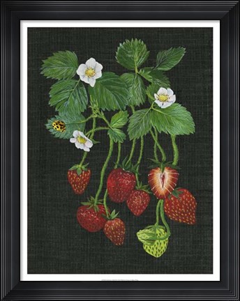 Framed Strawberry Fields II Print