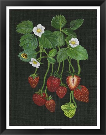 Framed Strawberry Fields II Print