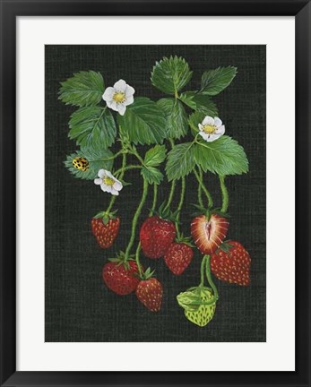 Framed Strawberry Fields II Print
