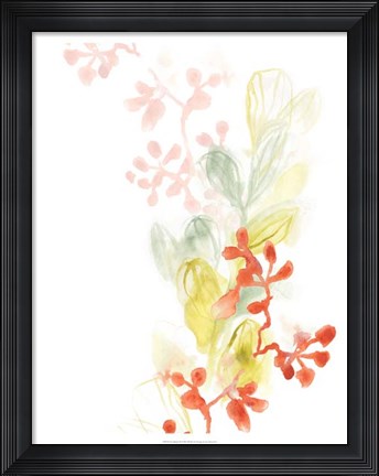 Framed Sea Branch II Print