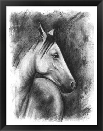 Framed Charcoal Equestrian Portrait I Print
