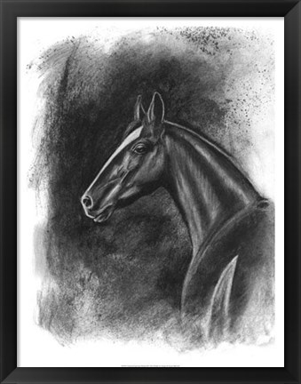 Framed Charcoal Equestrian Portrait II Print