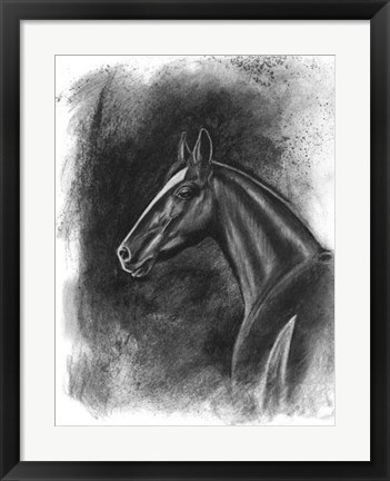 Framed Charcoal Equestrian Portrait II Print