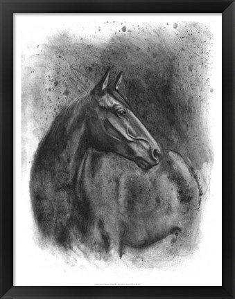 Framed Charcoal Equestrian Portrait III Print