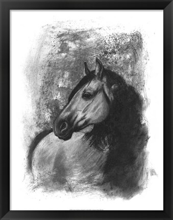 Framed Charcoal Equestrian Portrait IV Print