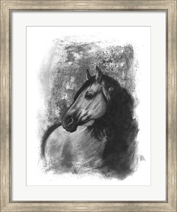 Framed Charcoal Equestrian Portrait IV Print