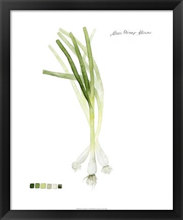 Framed Root Vegetable V Print