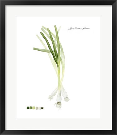 Framed Root Vegetable V Print