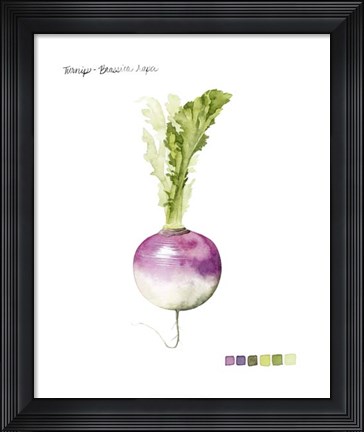 Framed Root Vegetable VI Print