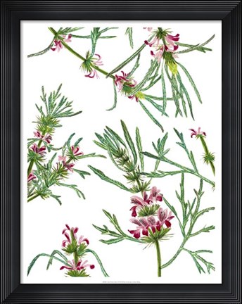 Framed Asian Flower Array I Print