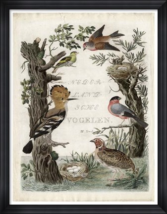 Framed Woodpecker Sanctuary Print