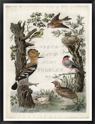 Framed Woodpecker Sanctuary Print