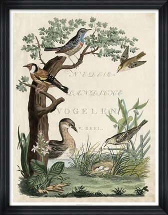 Framed Duck Sanctuary Print