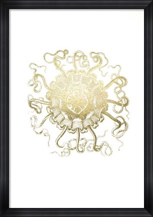 Framed Gold Foil Ocean Gems II Print