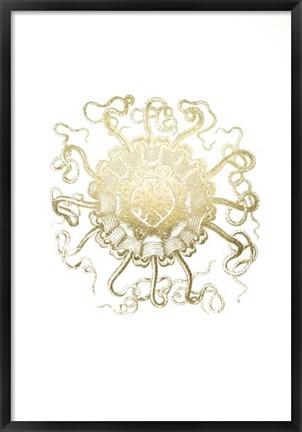 Framed Gold Foil Ocean Gems II Print