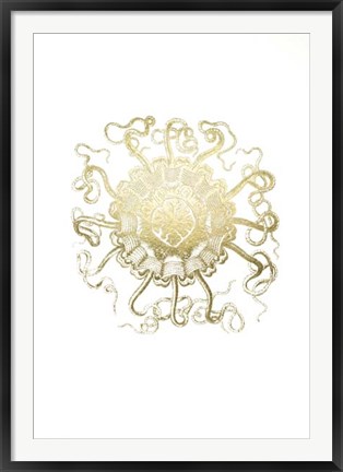 Framed Gold Foil Ocean Gems II Print