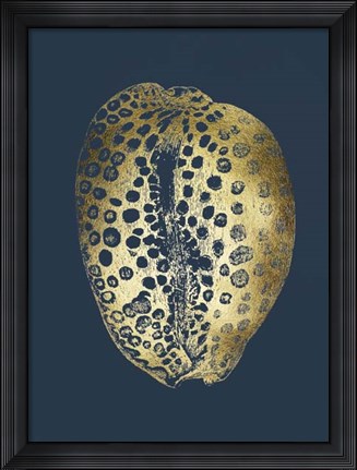 Framed Gold Foil Shell II on Cobalt Print