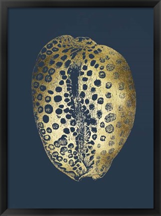 Framed Gold Foil Shell II on Cobalt Print