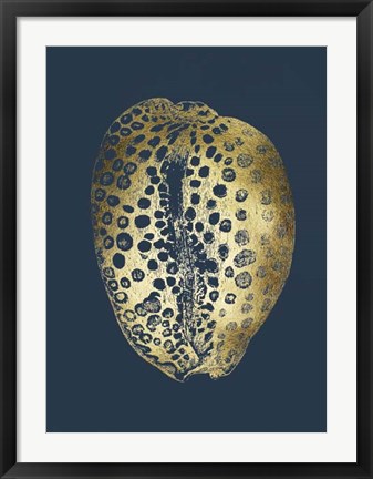 Framed Gold Foil Shell II on Cobalt Print
