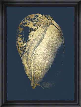 Framed Gold Foil Shell IV on Cobalt Print