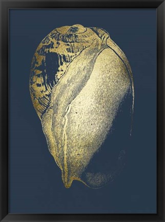 Framed Gold Foil Shell IV on Cobalt Print